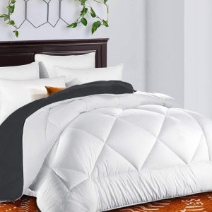 TEKAMON All Season Reversible Queen Comforter Winter Warm Summer Soft Quilted Down Alternative Duvet Insert Corner Tabs, Machine Washable Luxury Fluffy Collection for Hotel, White/Gray
